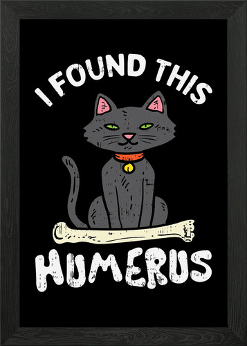 Gefunden diese humerus katze - diese,
