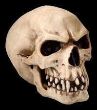 Orc Schädel - Totenkopf Figur