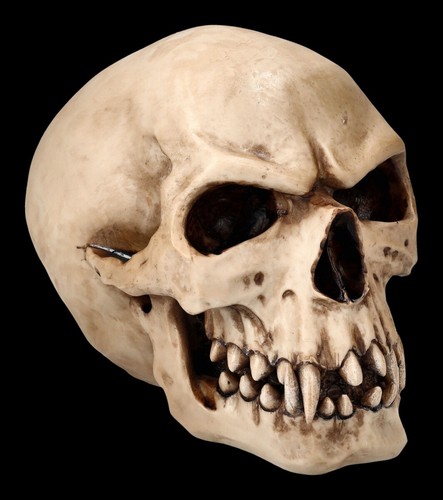 Orc schädel totenkopf figur - orc,