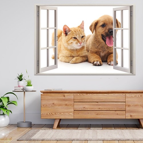 Katze und hund isoliert - und,