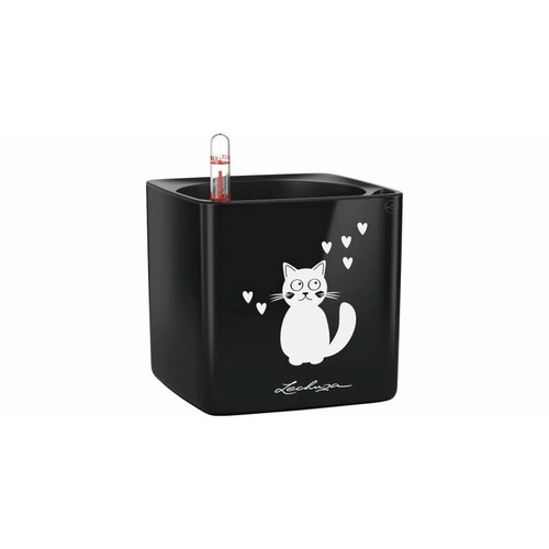 Lechuza cube glossy - glossy, 14