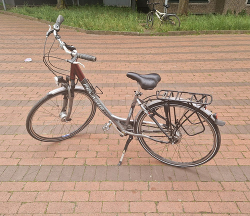 Pegasus trekkingrad grau - trekkingrad, grau/rot