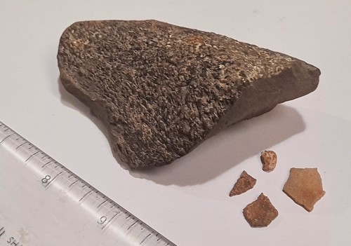 Sauropode titanosaurier - 4,