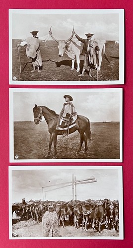 Foto ungarn hungary um - x,