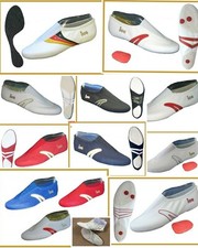 IWA 507 499 508 500 2007 515