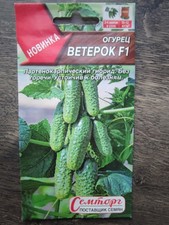 Gurkensamen "Windchnen" F 1