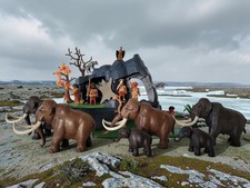 Playmobil Steinzeit