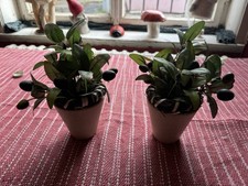 Kunstpflanzen im Topf • 2er Set • Deko Olivenzweige Kunstblumen