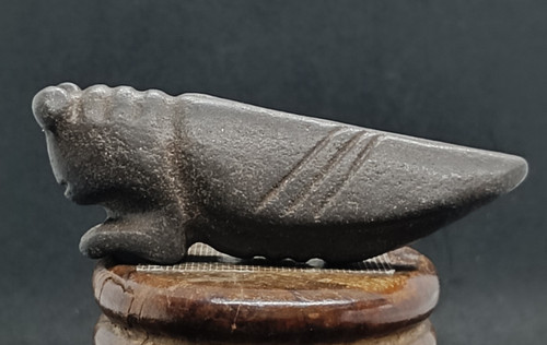Jade magnetischer meteorit - magnetischer,