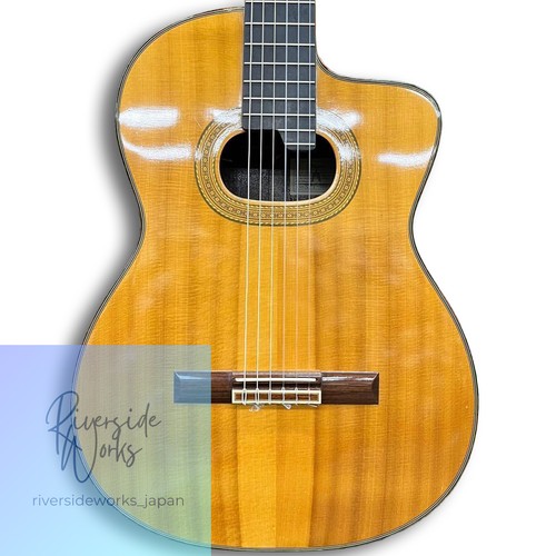 Takamine electric acoustic - takamine,