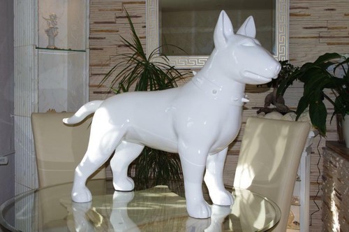 Bullterrier xxl bull terrier - bullterrier,