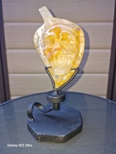 Goldheiler Schädel Blatt