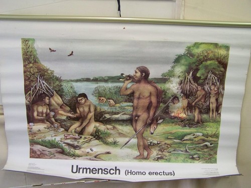Alte lehrtafel urmensch - alte,
