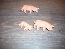 DDR Zootiere Plaho Schweine