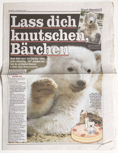 Eisbär knut geburtstag - knut, bz