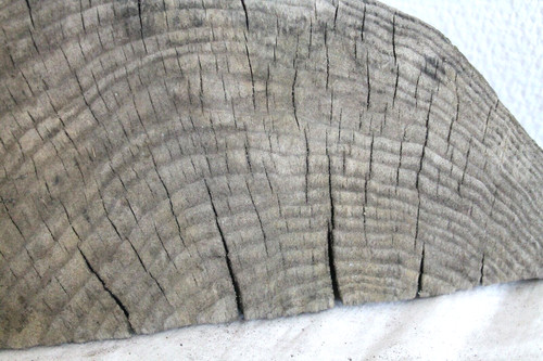 Schwemmholz treibholz skulptur - schwemmholz,