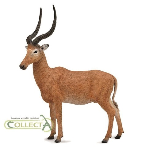 Collecta 88757 hunter antilope - collecta, hunter-antilope