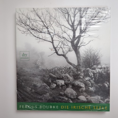 Die irische seele buch reisen - seele,