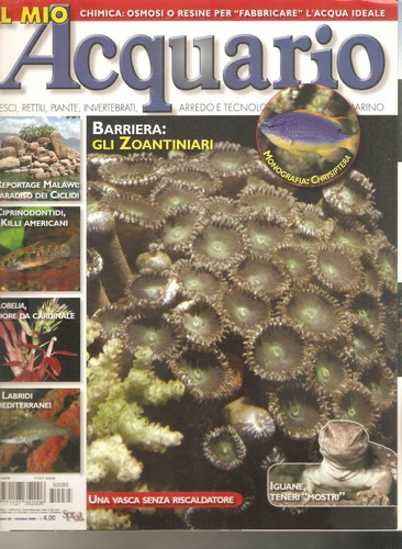 Mein aquarium oktober 2005 - mein,
