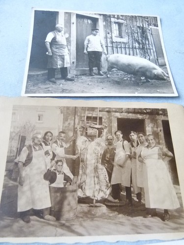 44973 orig foto metzger - foto,