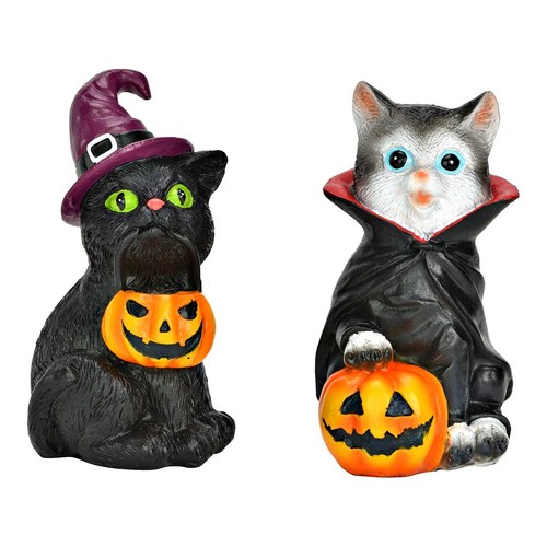 Katze mit kürbis - katze,