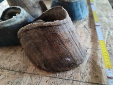 Echte Pferdehufe Hufe Hufen