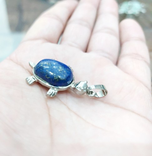 Lapislazuli schildkröte - lapislazuli,