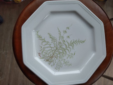 Gallo Leonardo "Sommerfarn" Essteller Speiseteller 25 cm