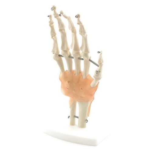 Heine scientific - heine, scientific®