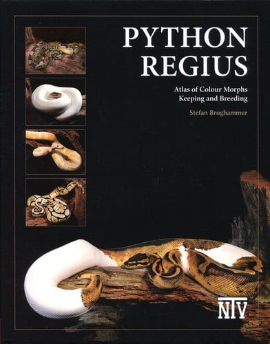 Python regius atlas colour - atlas,