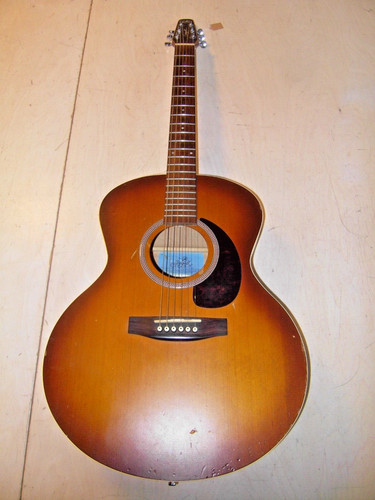 Akustikgitarre seagul - akustikgitarre,