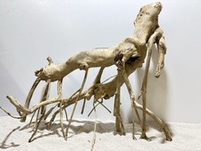 Talawa Wurzel JUMBO ähnlich