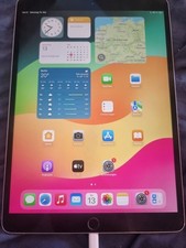 Apple iPad Pro 1. Gen 256 GB