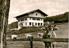 Haldenwang Allgaeu Cafe Pension Honold