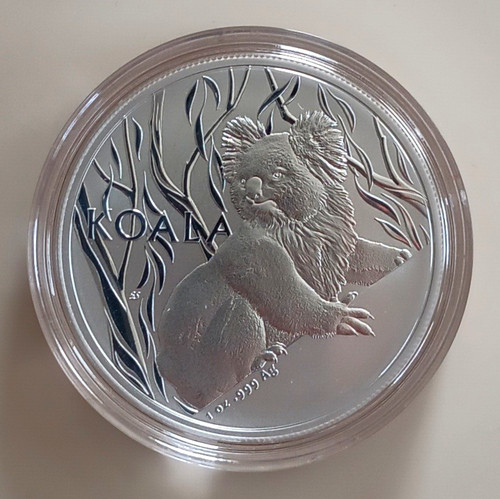 Australien ram koala - 2024, 1