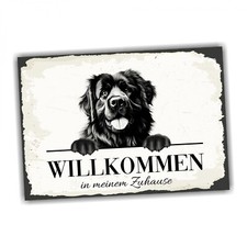 Hundeschild Willkommen Zuhause