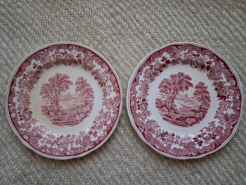 Copeland spode teller - teller, "rhine"