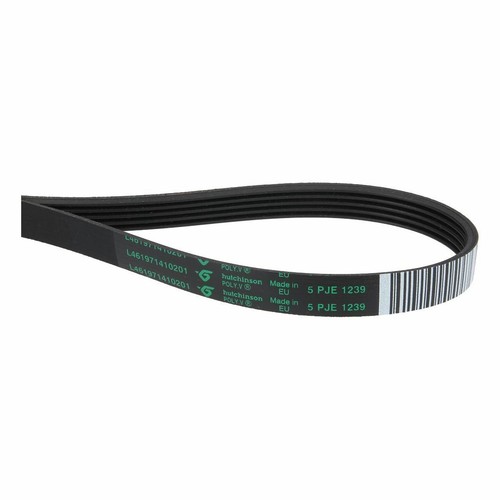 Keilrippenriemen 1239pj5e - keilrippenriemen,