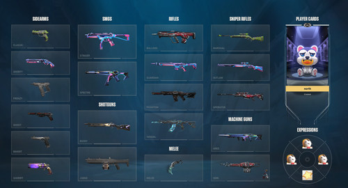 Valorant account with - eu, rare