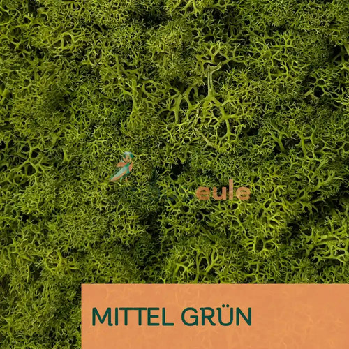 Islandmoos 10kg mittel grün - 10kg,