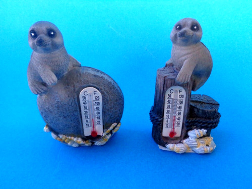 Stk seehunde robben - seehunde, /