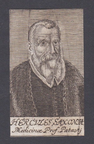 Ercole sassonia - 17.,