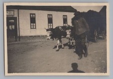 Lindig Saale-Holzland-Kreis