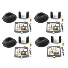 Vergaser-Reparatursatz