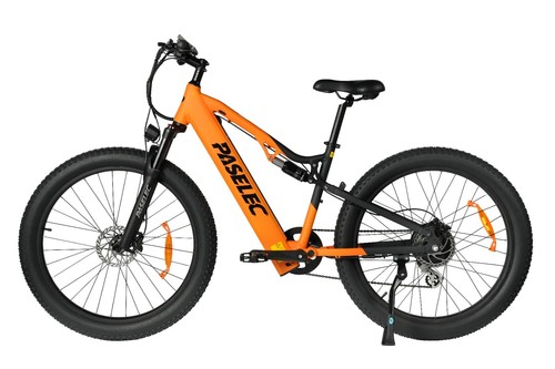 Gs9 elektrofahrrad 1000w - gs9,
