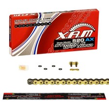 XAM X-Ring-Kette [520] GOLD