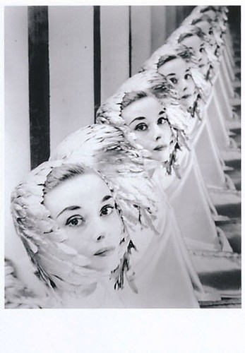 Audrey hepburn erwin - audrey, by