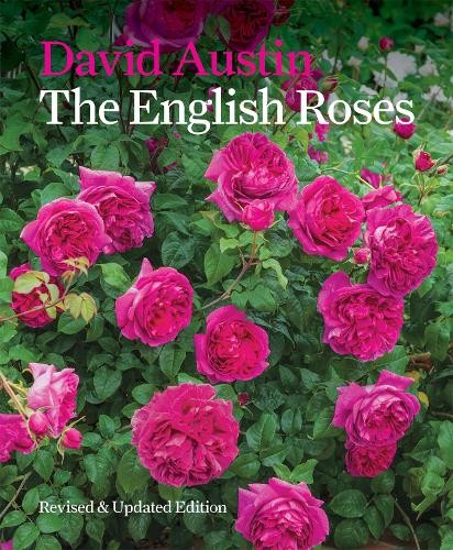 David austin the - david, english