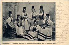 Grazer Tracht -296444