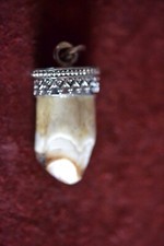 Charivari Anhänger Sauzahn mit Handgemachter 925 Silberfassung